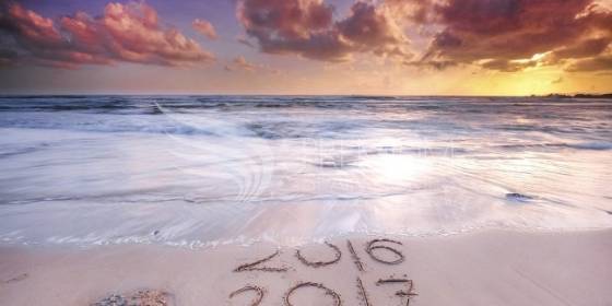 New Year, New Lifestyle, Brand New You! New Year, New Lifestyle, Brand New You!