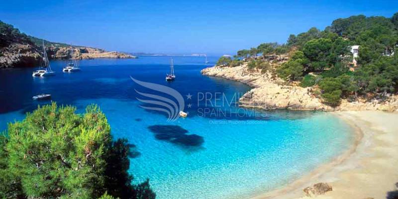 Viewing Trips to Help You Find Your Dream Spanish Home Viewing Trips to Help You Find Your Dream Spanish Home