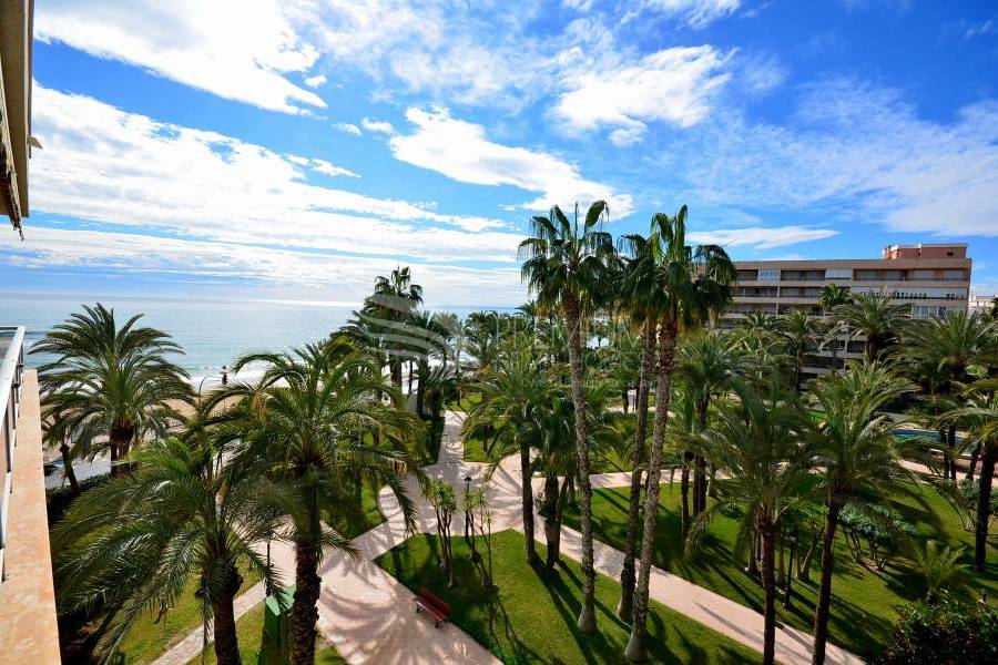 Sale - Apartment - Torrevieja - Playa De Los Locos