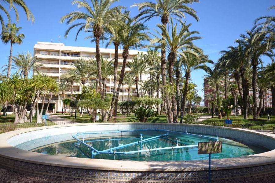 Resale - Apartment - Torrevieja - Playa De Los Locos