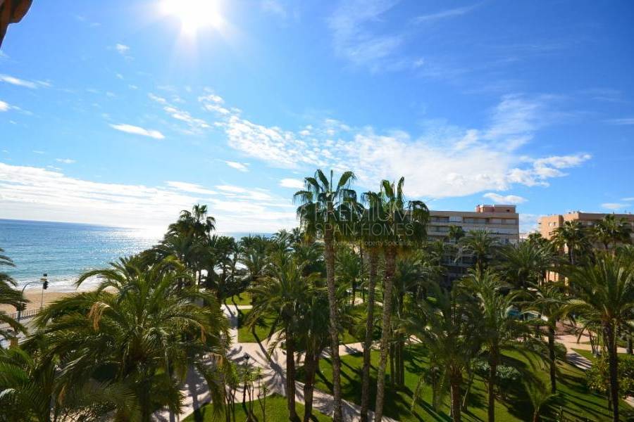 Sale - Apartment - Torrevieja - Playa De Los Locos