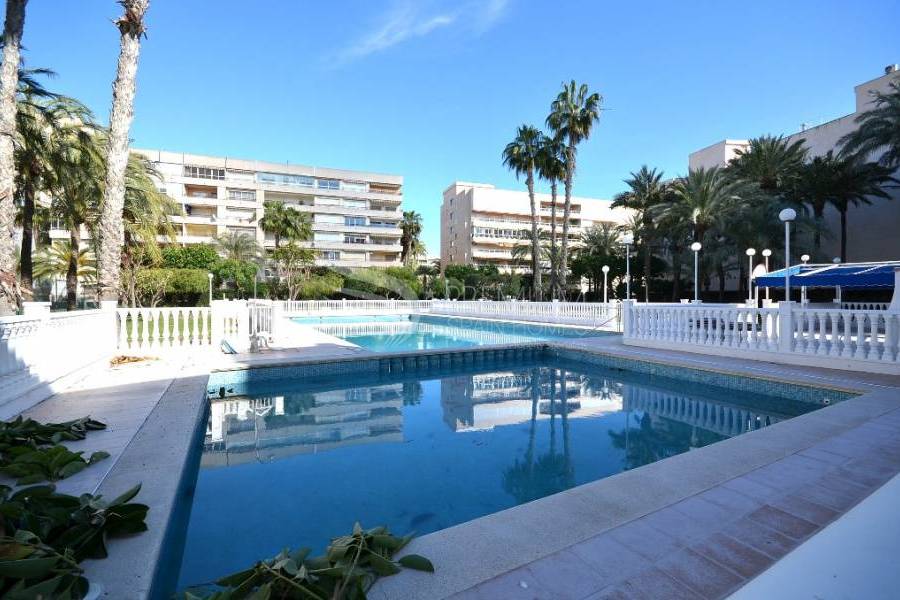 Resale - Apartment - Torrevieja - Playa De Los Locos