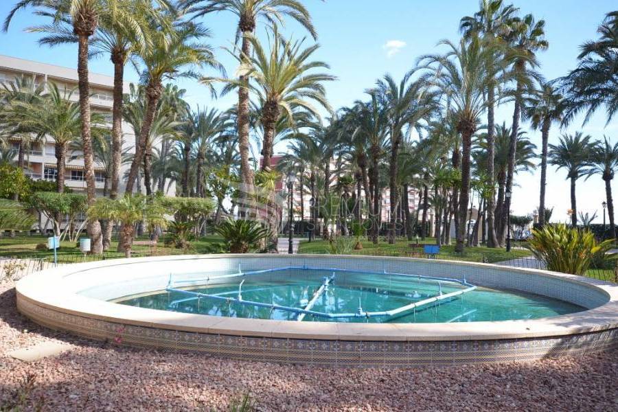 Sale - Apartment - Torrevieja - Playa De Los Locos