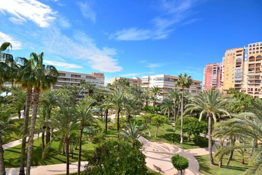 Resale - Apartment - Torrevieja - Playa De Los Locos