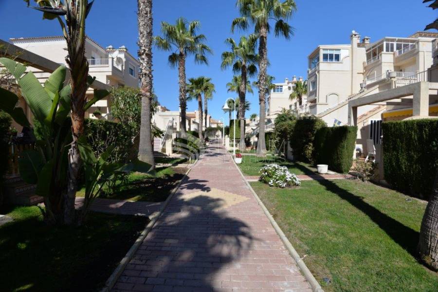 Sale - Apartment - Orihuela Costa - Playa Flamenca