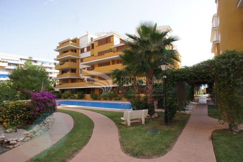 Resale - Penthouse - Torrevieja - Rocio Del Mar