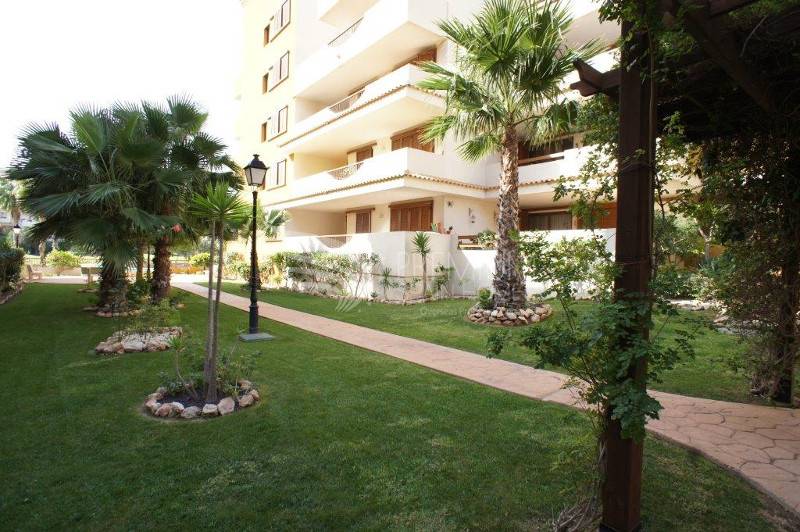 Resale - Penthouse - Torrevieja - Rocio Del Mar