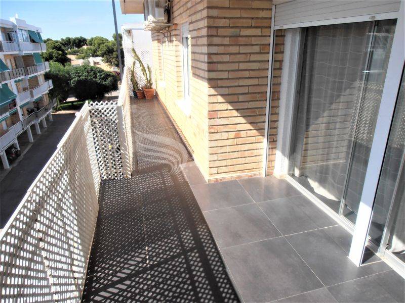 Sale - Penthouse - Orihuela - Punta Prima