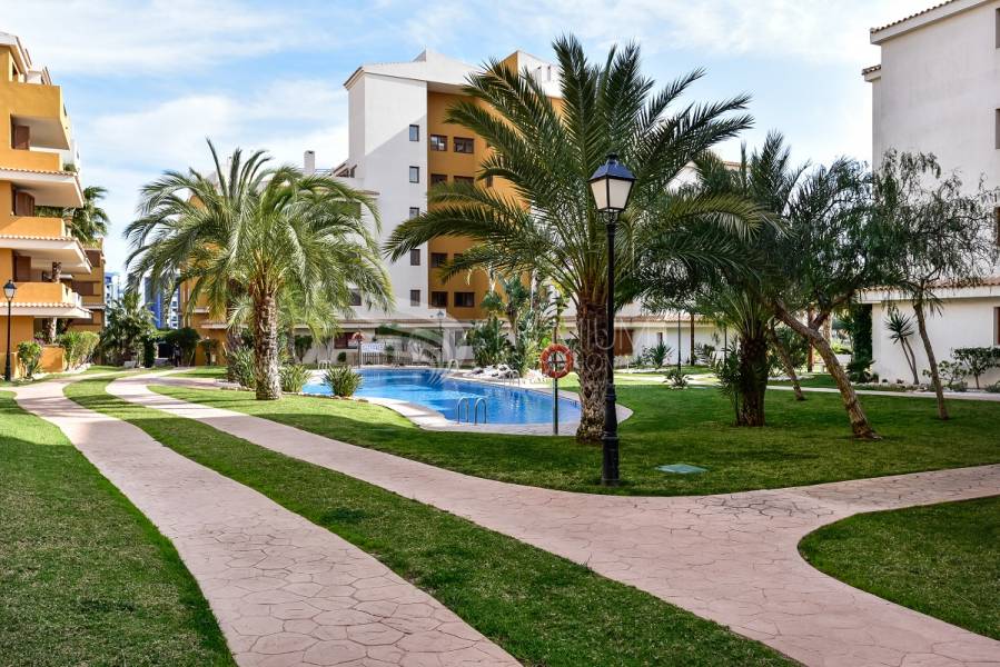 Resale - Apartment - Torrevieja - Punta Prima