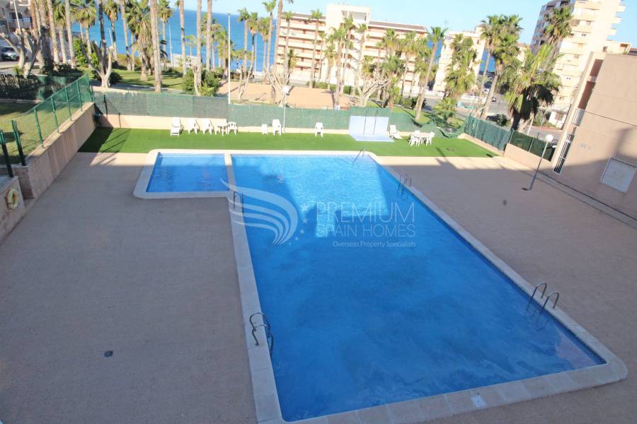 Resale - Duplex - Torrevieja - Cabo Cervera-Playa la Mata