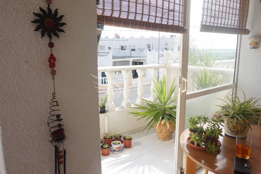 Sale - Duplex - San Miguel De Salinas - San Miguel