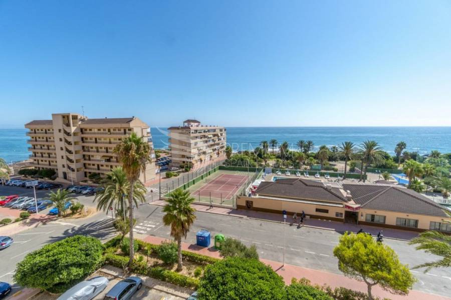 Resale - Apartment - Torrevieja - Cabo cervera