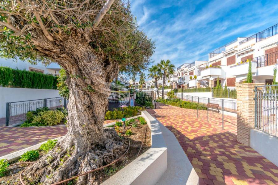 Resale - Bungalow - Torrevieja - Torre la mata