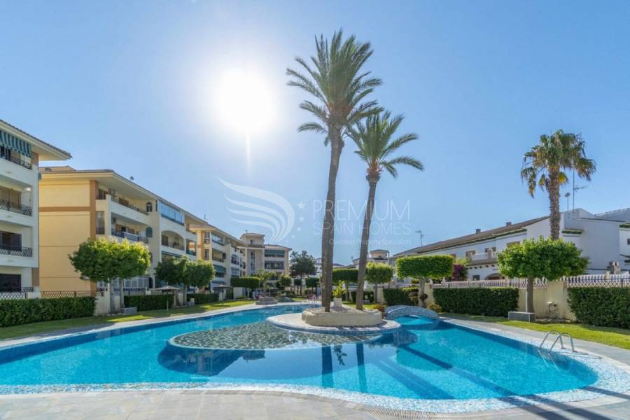 Sale - Duplex - Torrevieja - La Mata